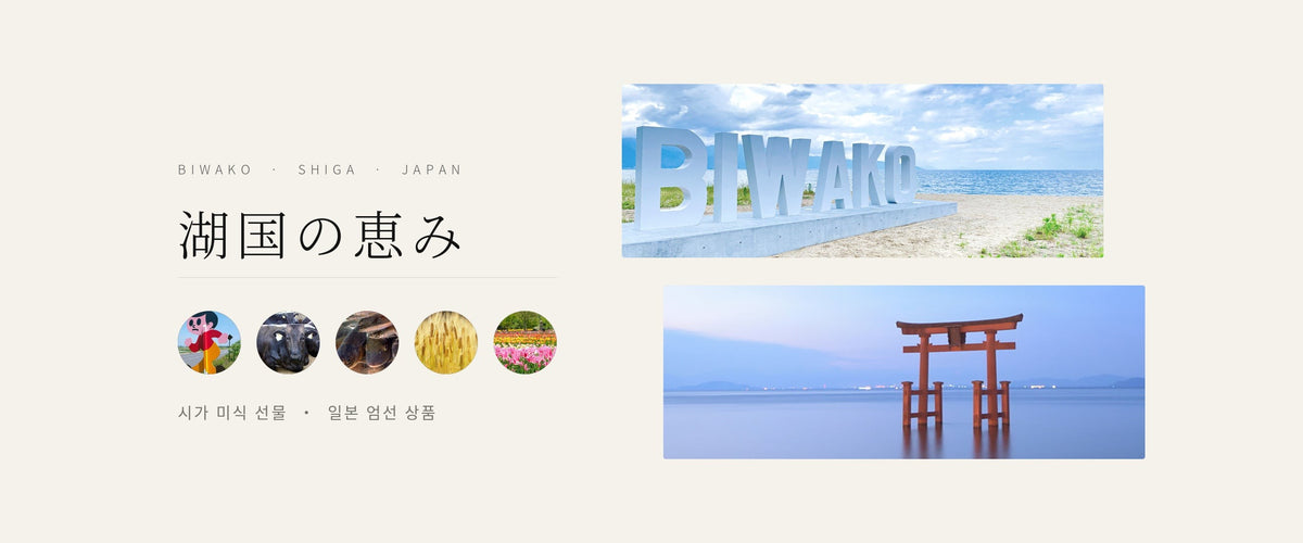 호수 나라의 선물 – 일본 시가현 비와코