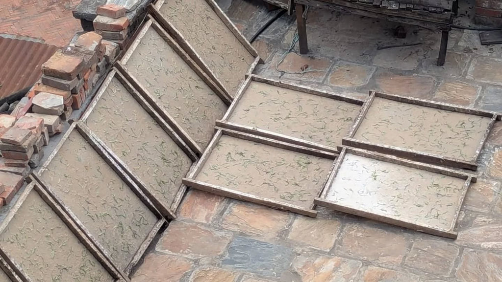 洛克塔手抄紙日曬