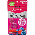 機能性標示食品 UHA味覺糖營養補充軟糖 玫瑰果多酚 暖莓味 14日份